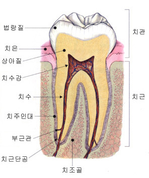 내부이미지